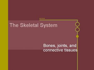 The Skeletal System Bones joints and connective tissues