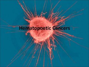 Hematopoetic Cancers Hematopoesis Leukemia Leukemia New diagnoses each