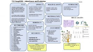 Y 11 Snap SOW Inheritance and Evolution FOCI