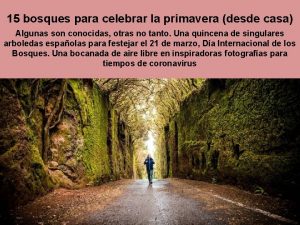 15 bosques para celebrar la primavera desde casa