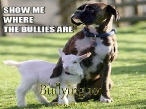 Bullying 101 Texas HB 1942 HB 1942 In