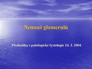 Nemoci glomerul Pednka z patologick fyziologie 24 3