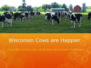 Wisconsin Cows are Happier Cows dont surf so
