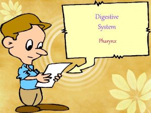 Digestive System Pharynx Our Respiratory system pharynx 1