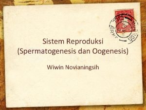 Sistem Reproduksi Spermatogenesis dan Oogenesis Wiwin Novianingsih Gametogenesis