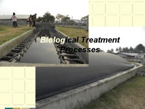 Biological Treatment Processes Outline Overview 3 1 Criteria