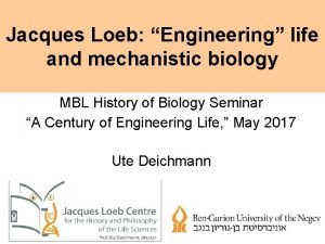 Jacques Loeb Engineering life and mechanistic biology MBL