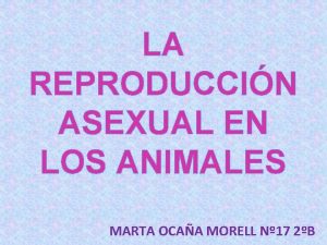 LA REPRODUCCIN ASEXUAL EN LOS ANIMALES MARTA OCAA