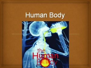 Human Body The body has cells tissues and