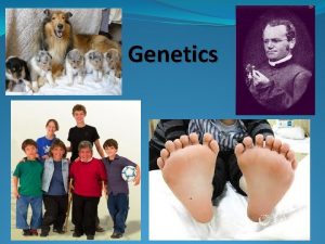 Genetics Study of heredity Genetics Mendel and pea