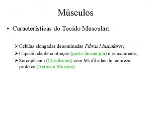 Msculos Caractersticas do Tecido Muscular Clulas alongadas denominadas