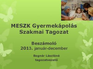 MESZK Gyermekpols Szakmai Tagozat Beszmol 2013 janurdecember Bognr