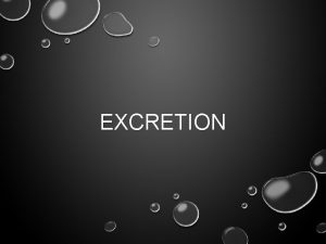 EXCRETION MAIN IDEAS EXCRETION PROCESS THAT RIDS BODY