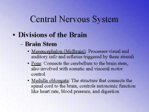 Central Nervous System Divisions of the Brain Brain