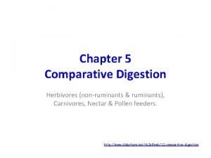 Chapter 5 Comparative Digestion Herbivores nonruminants ruminants Carnivores