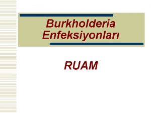 Burkholderia Enfeksiyonlar RUAM Taksonomik yeri w Alem Kingdom