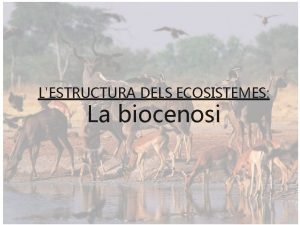 LESTRUCTURA DELS ECOSISTEMES La biocenosi La biocenosi Part