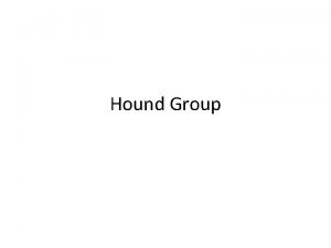 Hound Group 1 Greyhound 2 Afgan 3 Borzoi