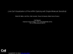 LiveCell Visualization of Prem RNA Splicing with SingleMolecule