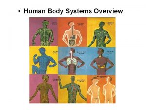 Human Body Systems Overview Hierarchical Organization of Body