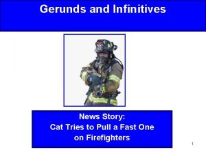 Gerunds and Infinitives News Story Cat Tries to