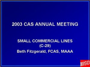 2003 CAS ANNUAL MEETING SMALL COMMERCIAL LINES C29