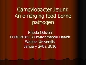 Campylobacter Jejuni An emerging food borne pathogen Rhoda