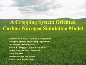 A Cropping System Oriented CarbonNitrogen Simulation Model Claudio