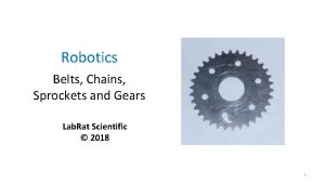 Robotics Belts Chains Sprockets and Gears Lab Rat