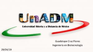 Guadalupe Cruz Flores Ingeniera en Biotecnologa 290419 Ingeniera