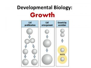 Developmental Biology Growth GROWTH Growth defined as the