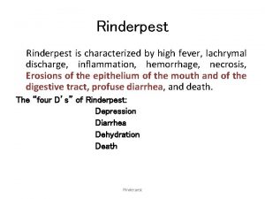 Rinderpest is characterized by high fever lachrymal discharge