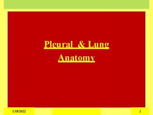 Pleural Lung Anatomy 1182022 1 The Pleural Cavity