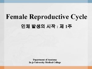 Female Reproductive Cycle 1 Department of Anatomy Inje