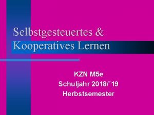 Selbstgesteuertes Kooperatives Lernen KZN M 5 e Schuljahr