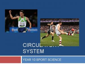CIRCULATORY SYSTEM YEAR 10 SPORT SCIENCE CIRCULATORY SYSTEM