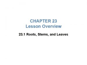 CHAPTER 23 Lesson Overview 23 1 Roots Stems