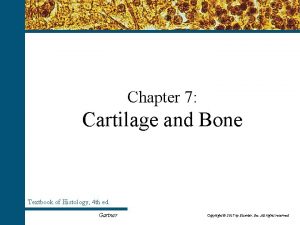 Chapter 7 Cartilage and Bone Textbook of Histology