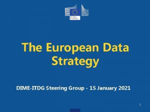 The European Data Strategy DIMEITDG Steering Group 15