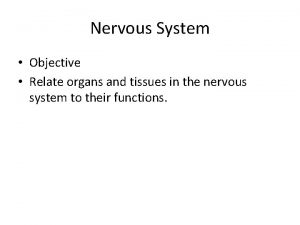 Nervous System Objective Relate organs and tissues in