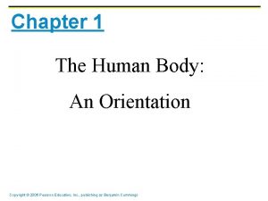 Chapter 1 The Human Body An Orientation Copyright