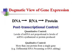 Dogmatic View of Gene Expression DNA RNA Protein