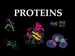 PROTEINS Proteins Composed mainly of Carbon Hydrogen Nitrogen