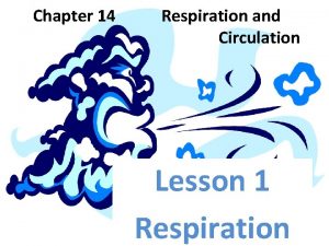 Chapter 14 Respiration and Circulation Lesson 1 Respiration