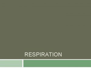 RESPIRATION Cellular Respiration A series of metabolic processes