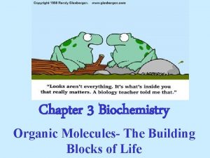 Chapter 3 Biochemistry Organic Molecules The Building Blocks