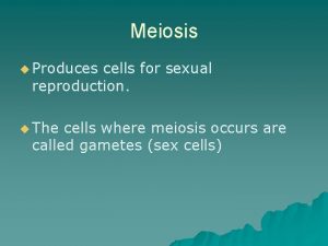 Meiosis u Produces cells for sexual reproduction u