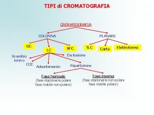 TIPI di CROMATOGRAFIA COLONNA GC Scambio ionico CCE