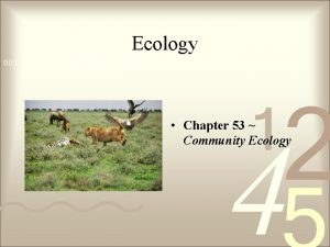 Ecology Chapter 53 Community Ecology Community structure Community