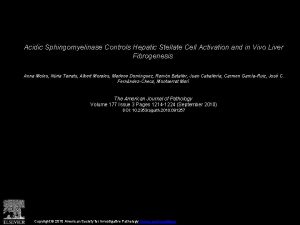 Acidic Sphingomyelinase Controls Hepatic Stellate Cell Activation and